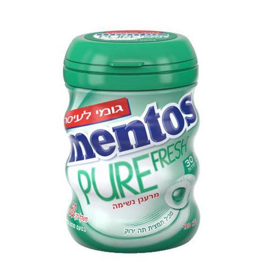Mentos Gomme Pur Frais (Menthe Verte) / Mentos Pure Fresh Gum (Spearmint)