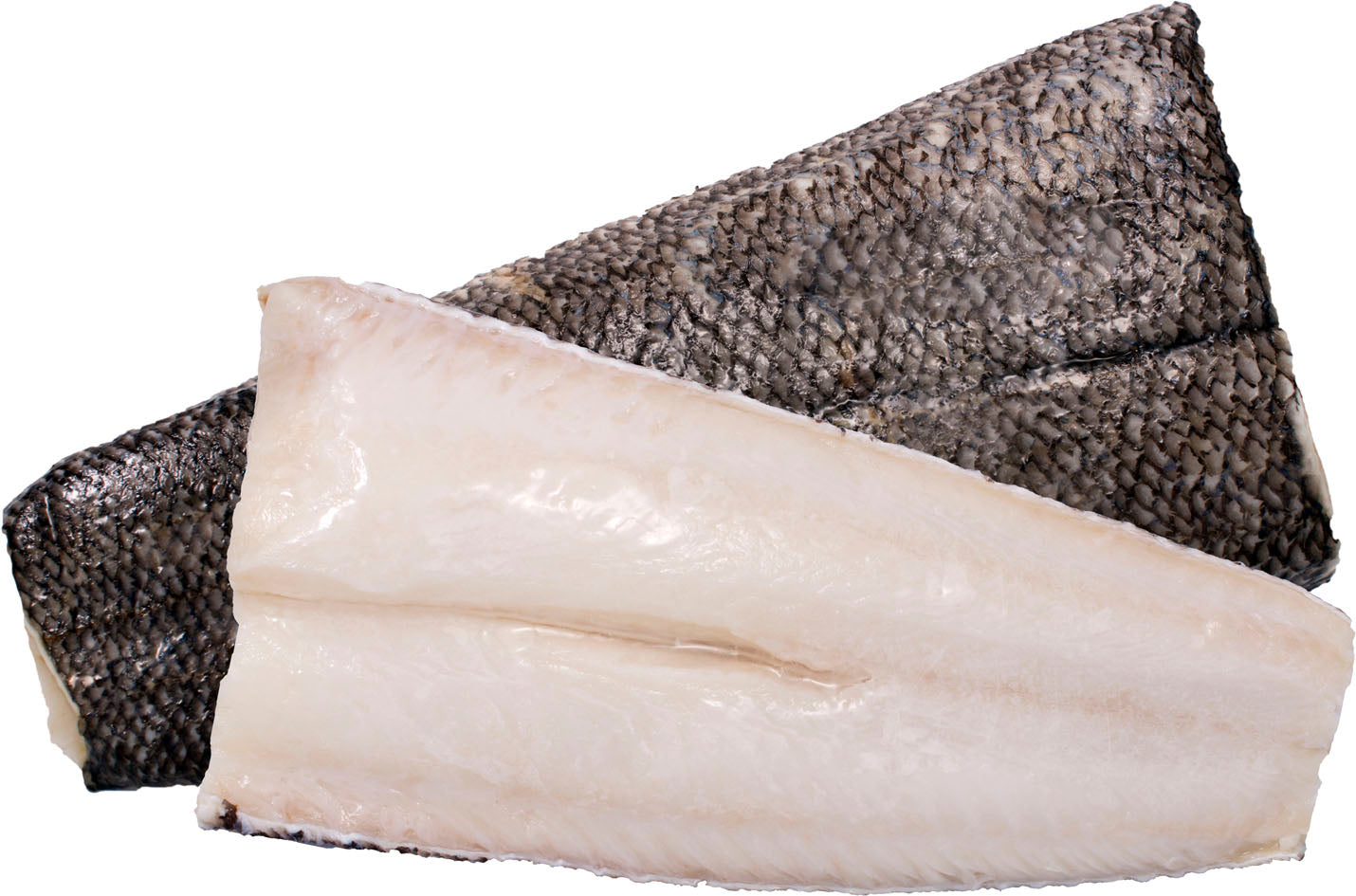 Filet de Bar de Chile (Frais avec peau) / Chilean Sea Bass Fillet (Fresh with skin)