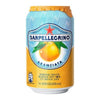 San Pellegrino® Boisson Pétillante à l'Orange / San Pellegrino® Sparkling Orange Beverage